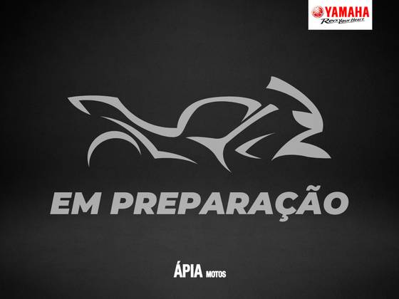 YAMAHA YZF R3 ABS 